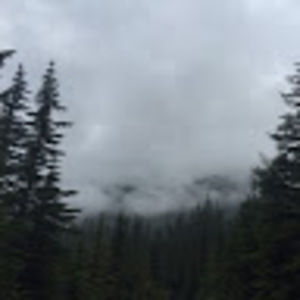 Meet your Posher, Ann